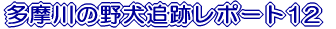 ̖쌢ǐՃ|[g12 