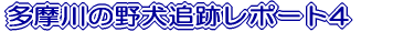 ̖쌢ǐՃ|[g4 